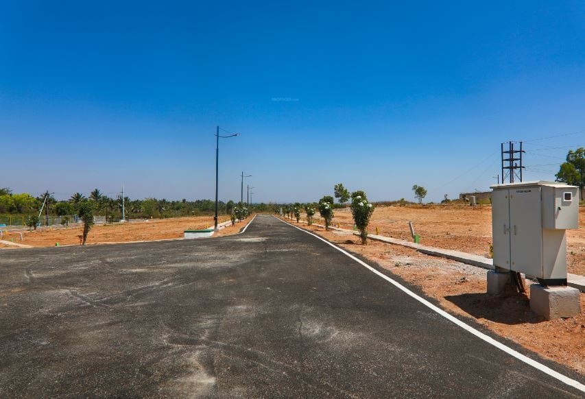 spring meadows Elevation