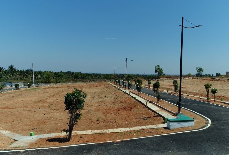 spring meadows Elevation