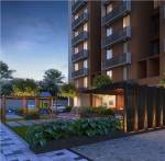 Elevation  albero Elevation