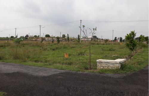  green-meadows-villas Internal Roads