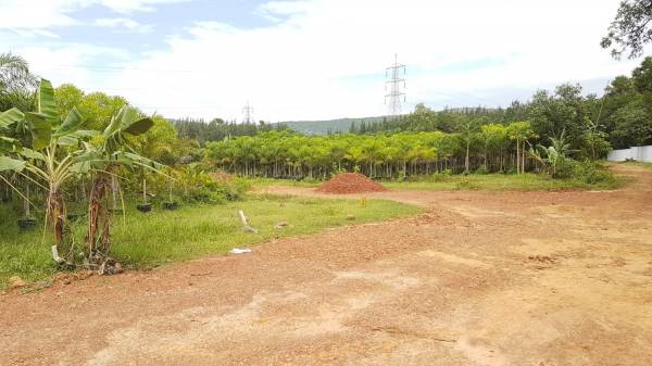 Images for Main Other of Building True Residency Images for Main Other of Building True Residency