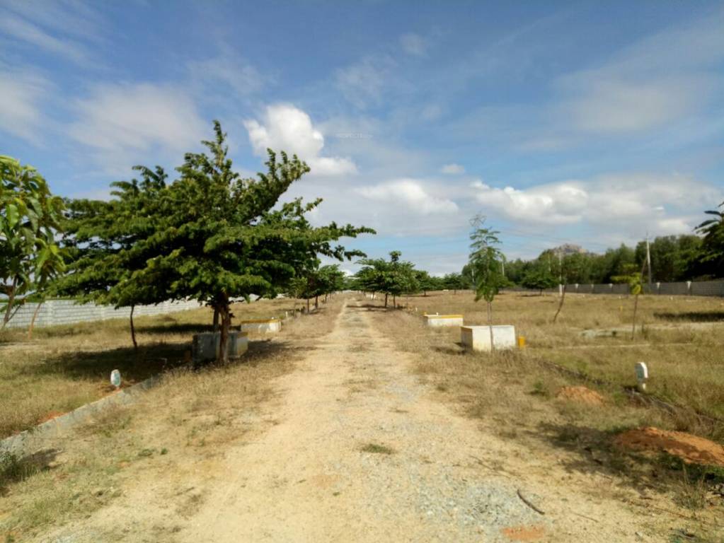 Images for Main Other of VR Samruddhi