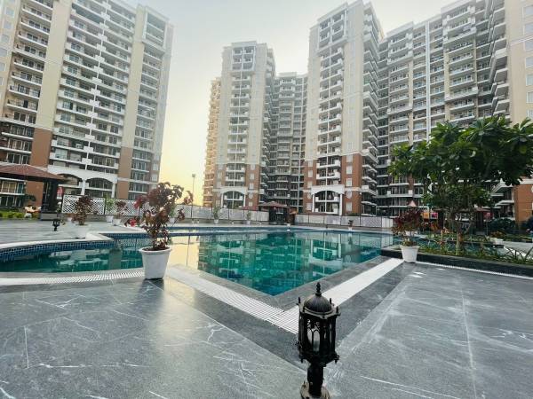 Others florence-park Others