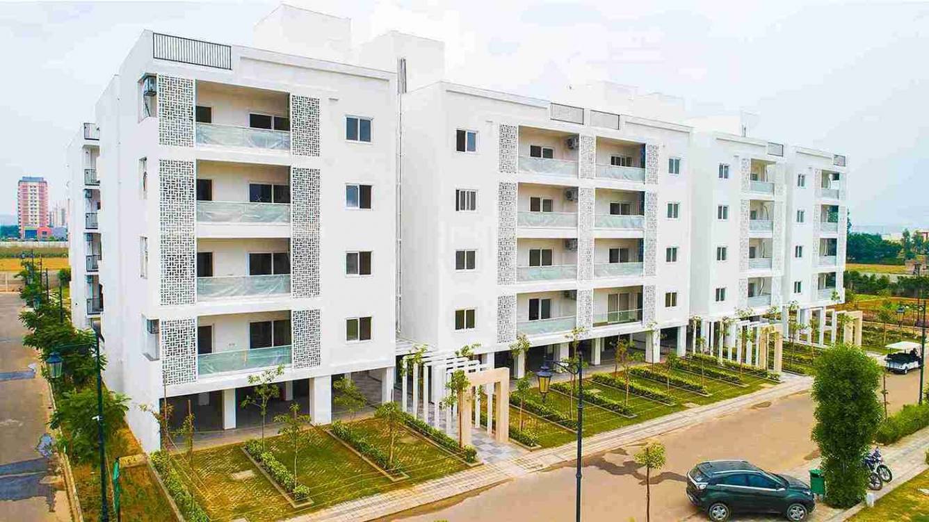 Central Clover Floors