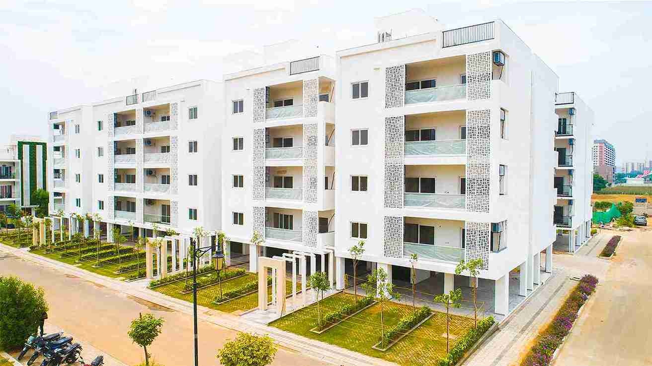 Central Clover Floors