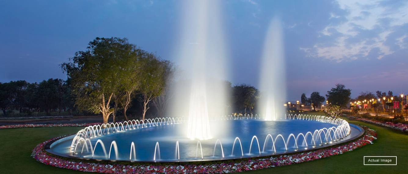 clover floors Others