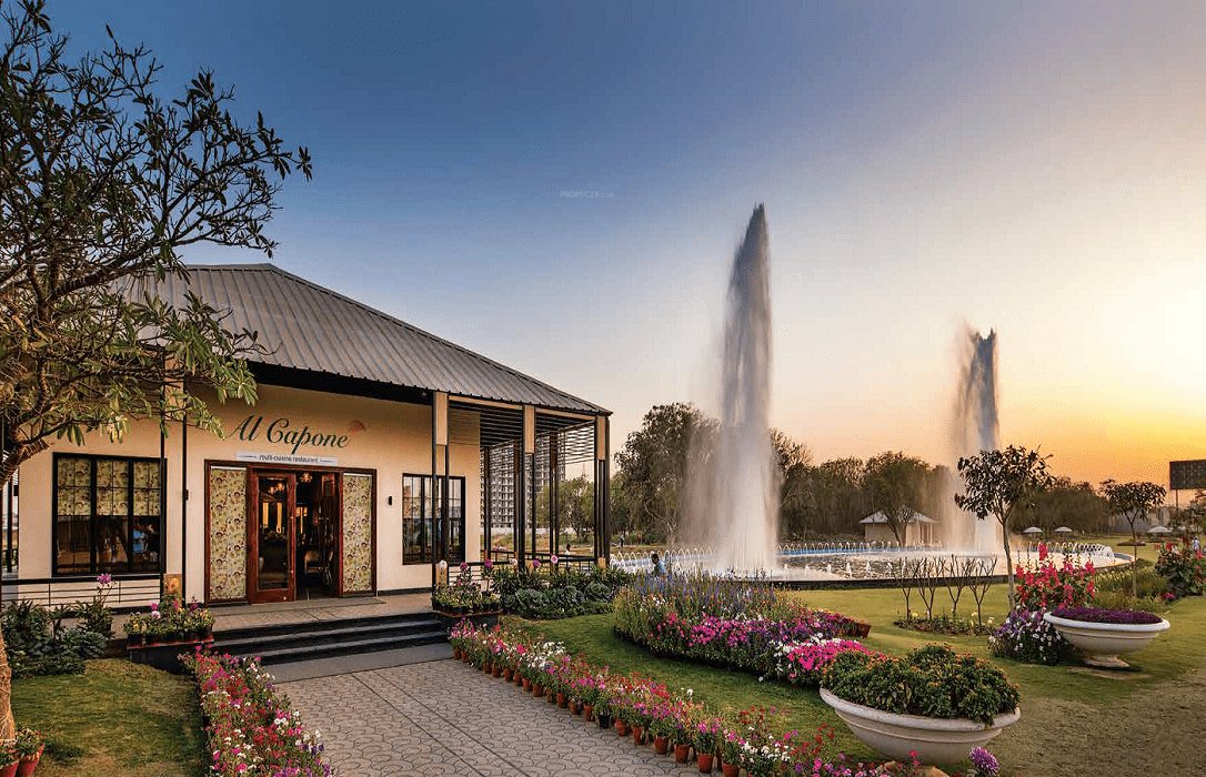 clover floors Others