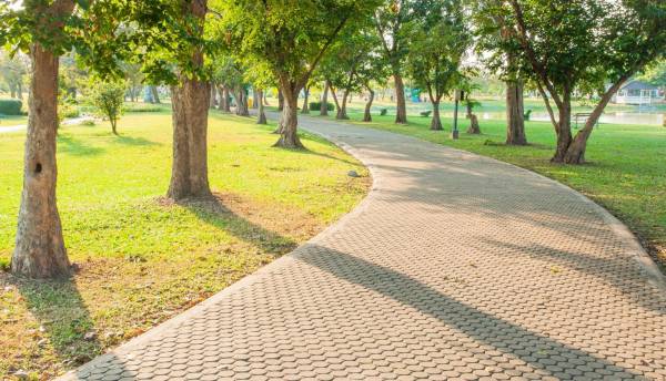 Images for Amenities of Sagitarius Bluegrass Residences Tower I