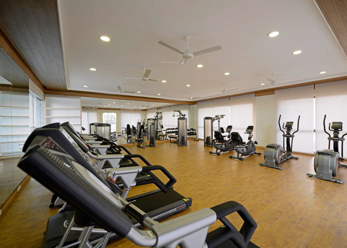  exquisite wing 3 Gymnasium