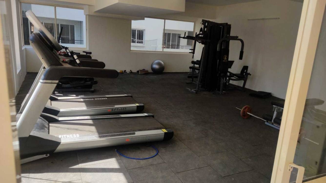  5 elements Gymnasium