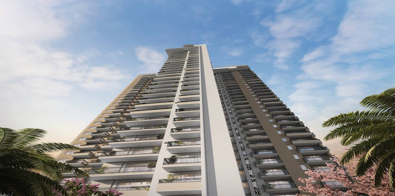  nurture phase 1 Elevation