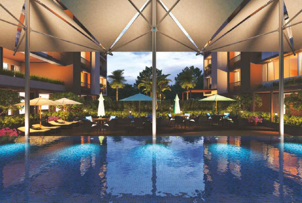  the north Swimming Pool