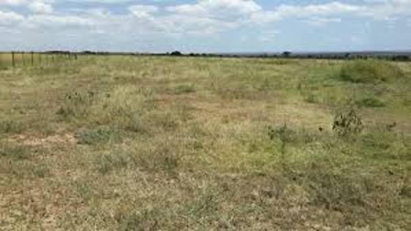 Images for Elevation of Tirupati Rajatbhoomi 5 Images for Elevation of Tirupati Rajatbhoomi 5