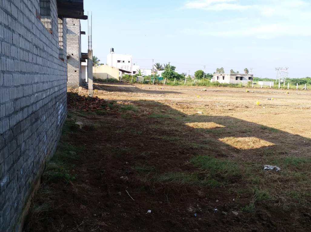 Images for Main Other of JMJ Sunrise Ruby