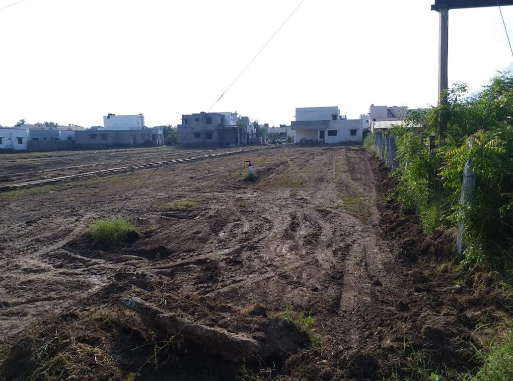 Images for Main Other of JMJ Sunrise Ruby