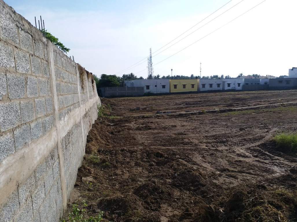 Images for Main Other of JMJ Sunrise Ruby