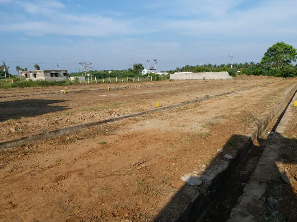 Images for Main Other of JMJ Sunrise Ruby