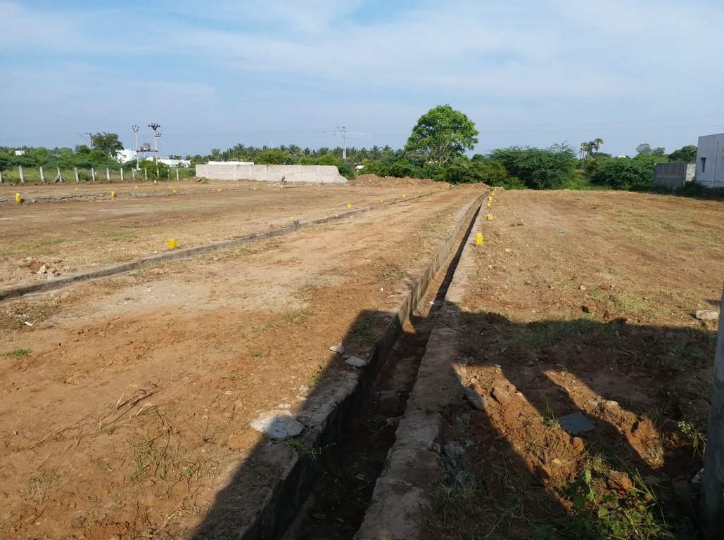 Images for Main Other of JMJ Sunrise Ruby