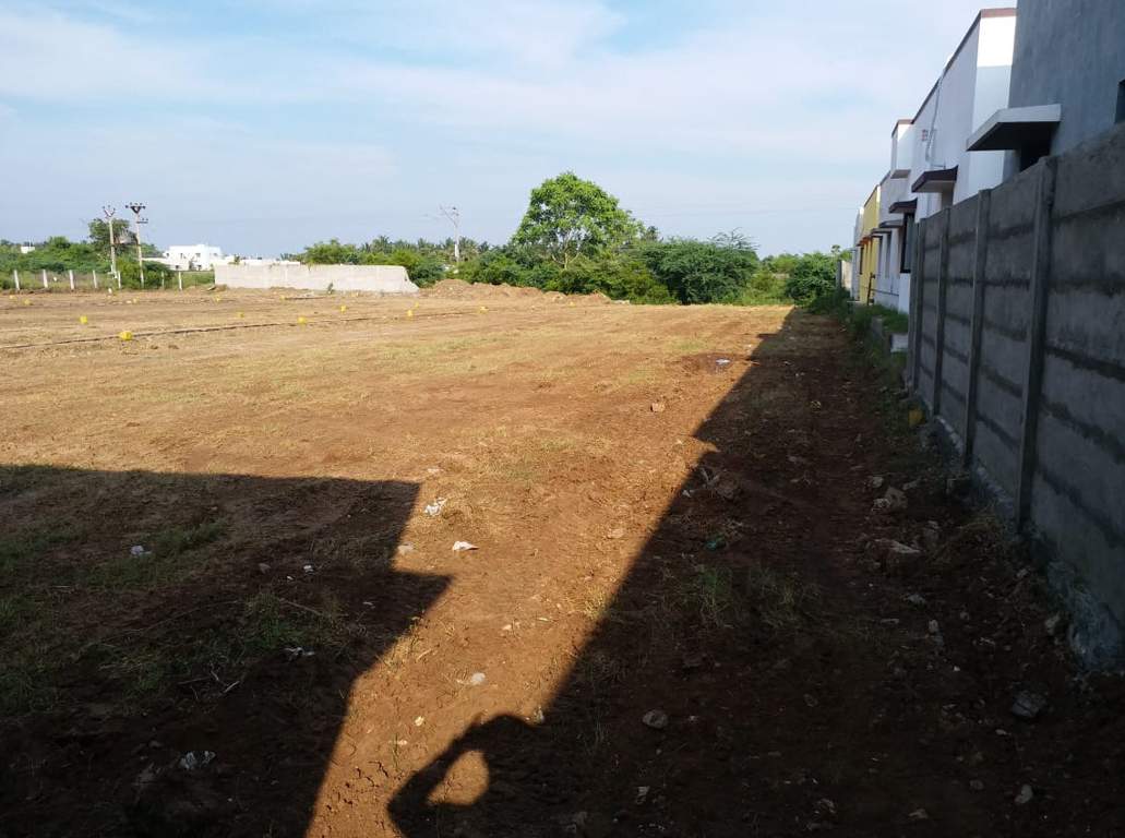 Images for Main Other of JMJ Sunrise Ruby