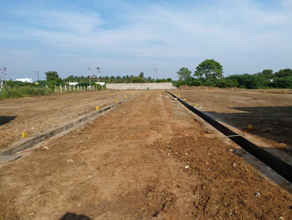 Images for Main Other of JMJ Sunrise Ruby