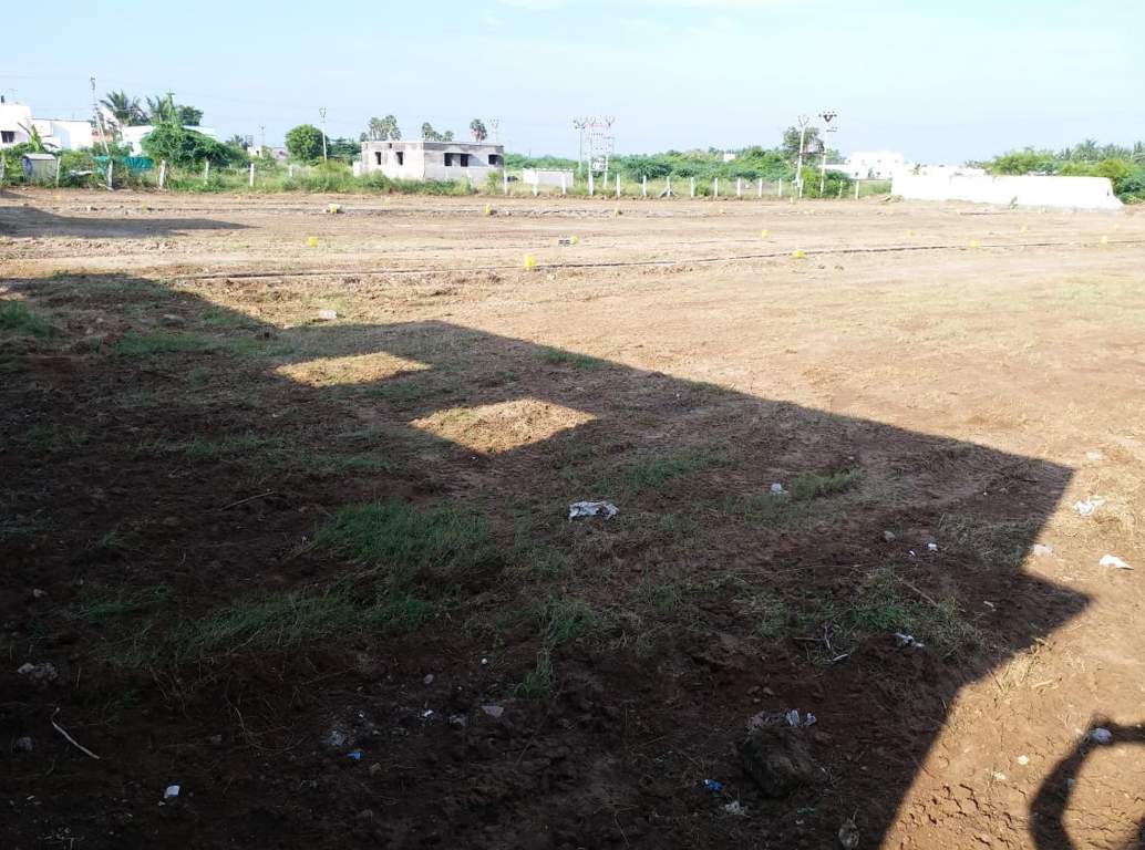 Images for Main Other of JMJ Sunrise Ruby