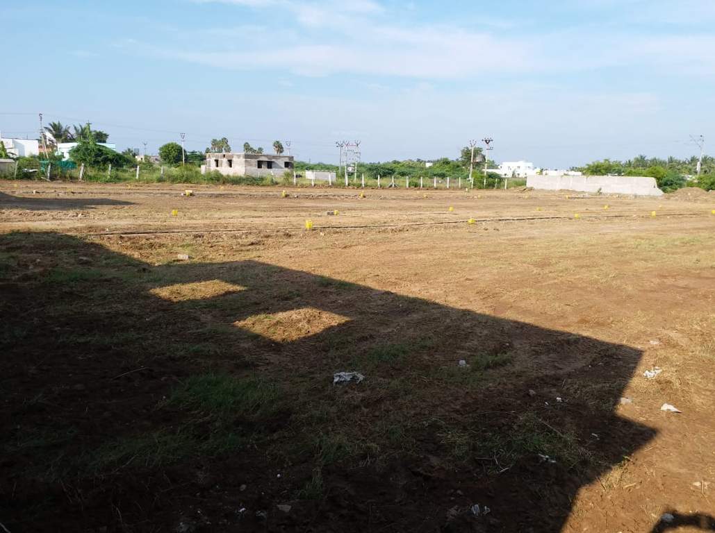 Images for Main Other of JMJ Sunrise Ruby