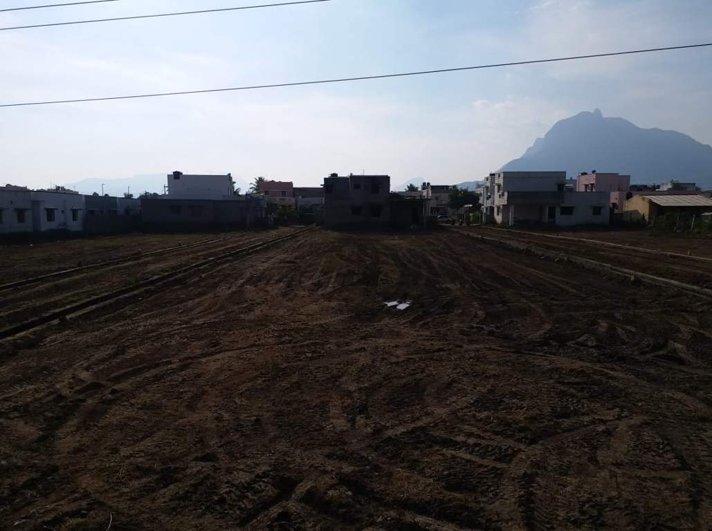 Images for Main Other of JMJ Sunrise Ruby