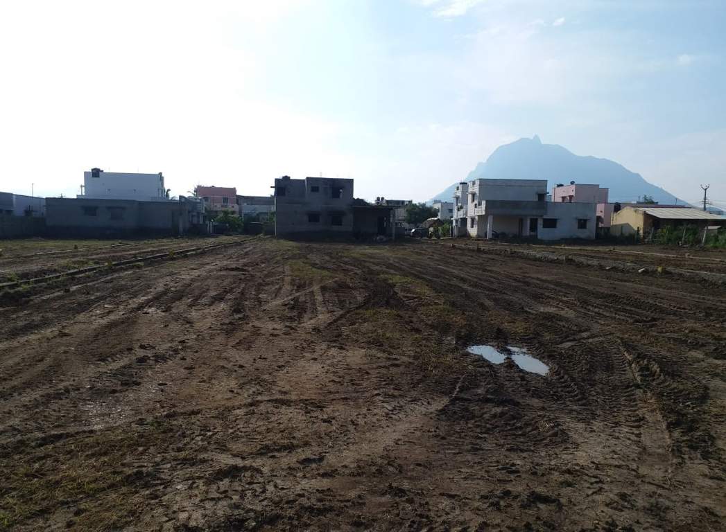 Images for Main Other of JMJ Sunrise Ruby