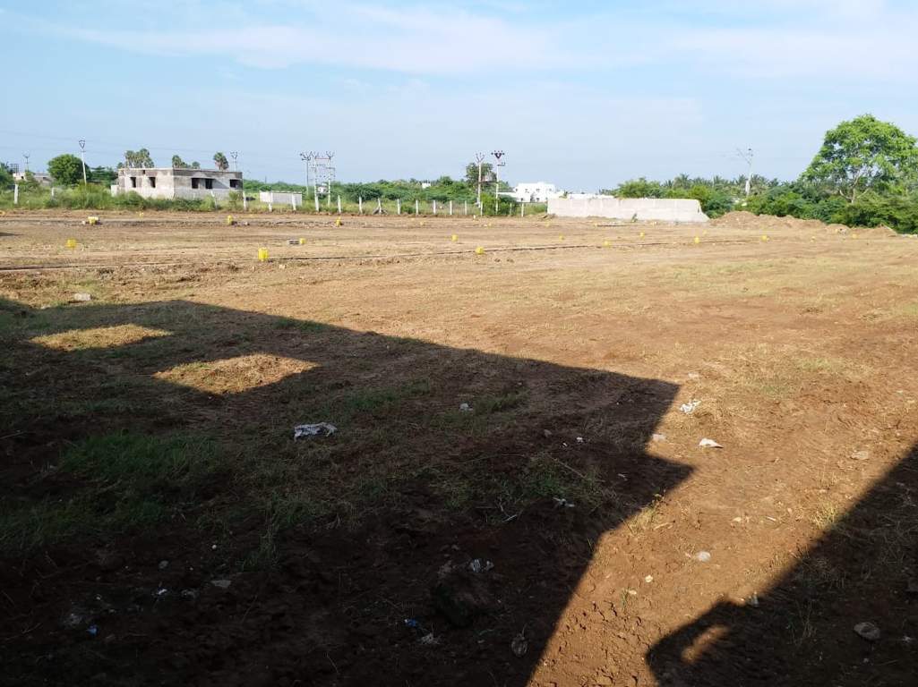 Images for Main Other of JMJ Sunrise Ruby