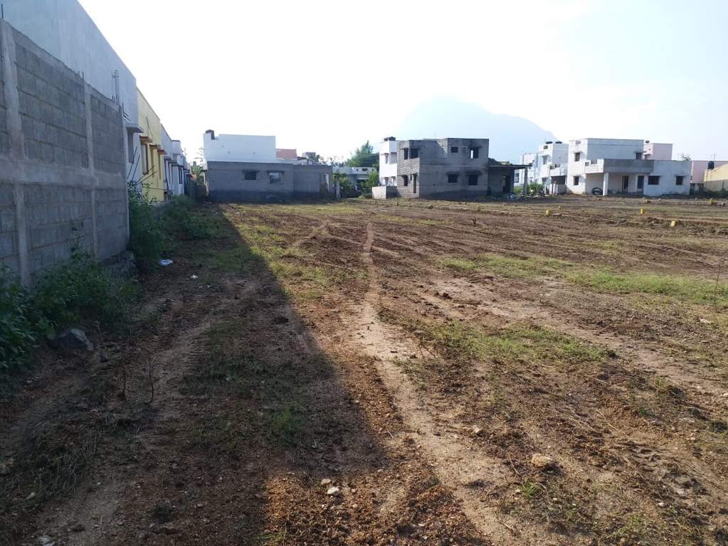 Images for Main Other of JMJ Sunrise Ruby