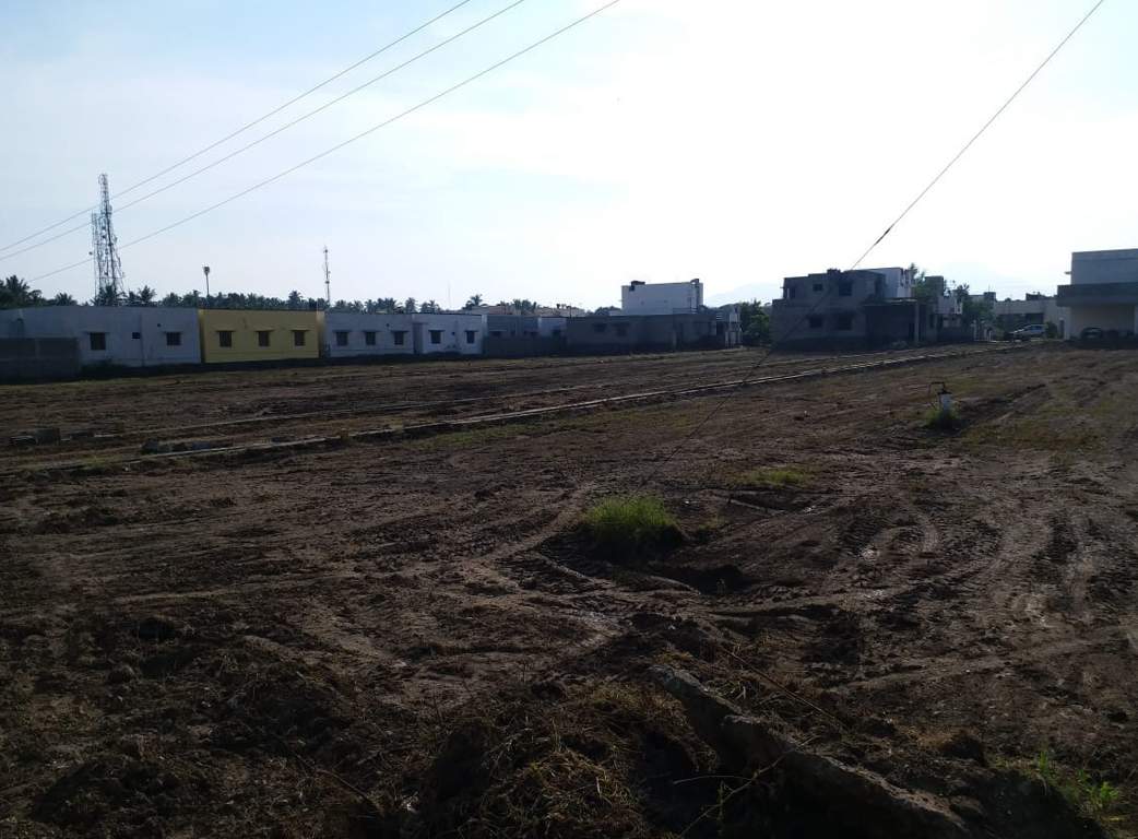 Images for Main Other of JMJ Sunrise Ruby