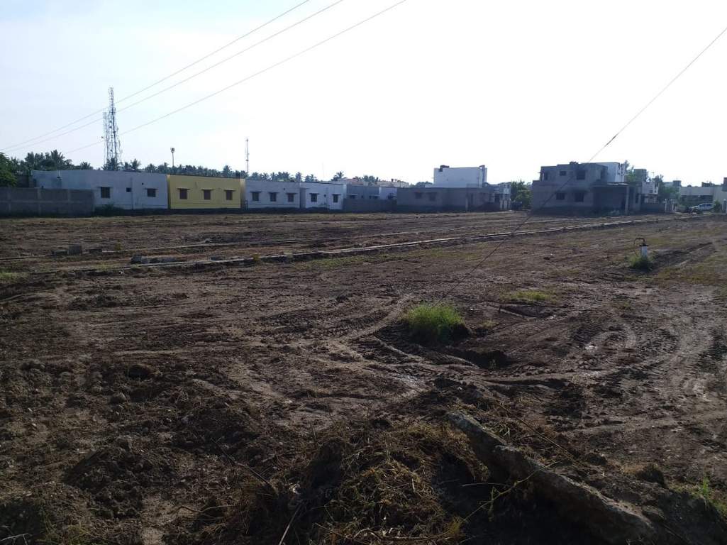 Images for Main Other of JMJ Sunrise Ruby