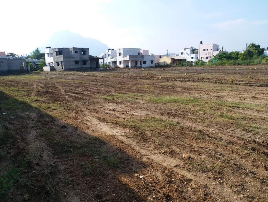 Images for Main Other of JMJ Sunrise Ruby