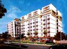 Palash Pearl