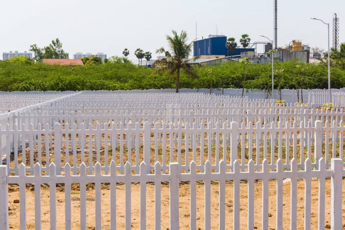 Elevation magica Elevation