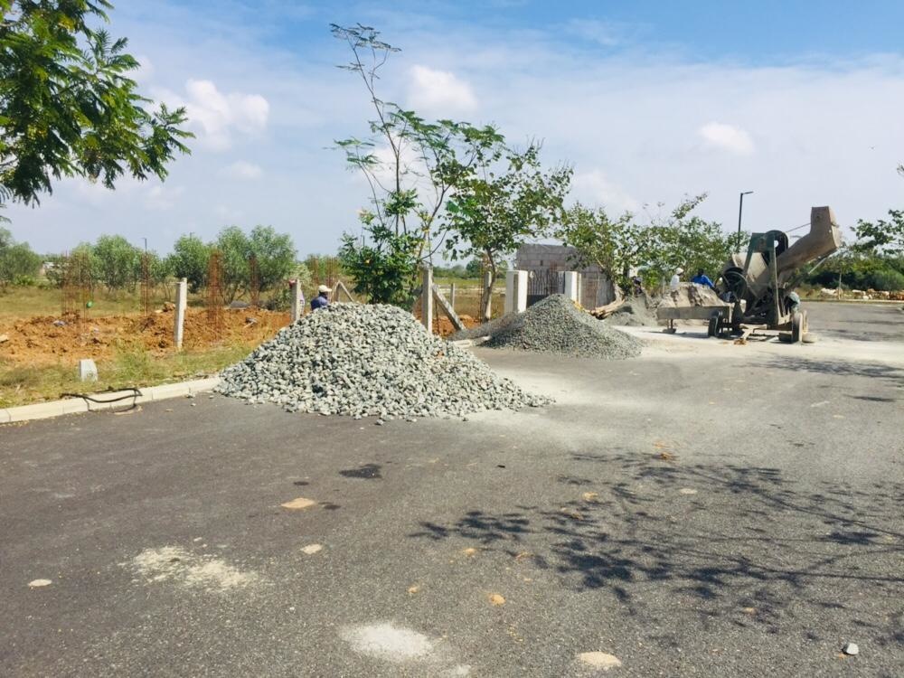 Images for mainOther