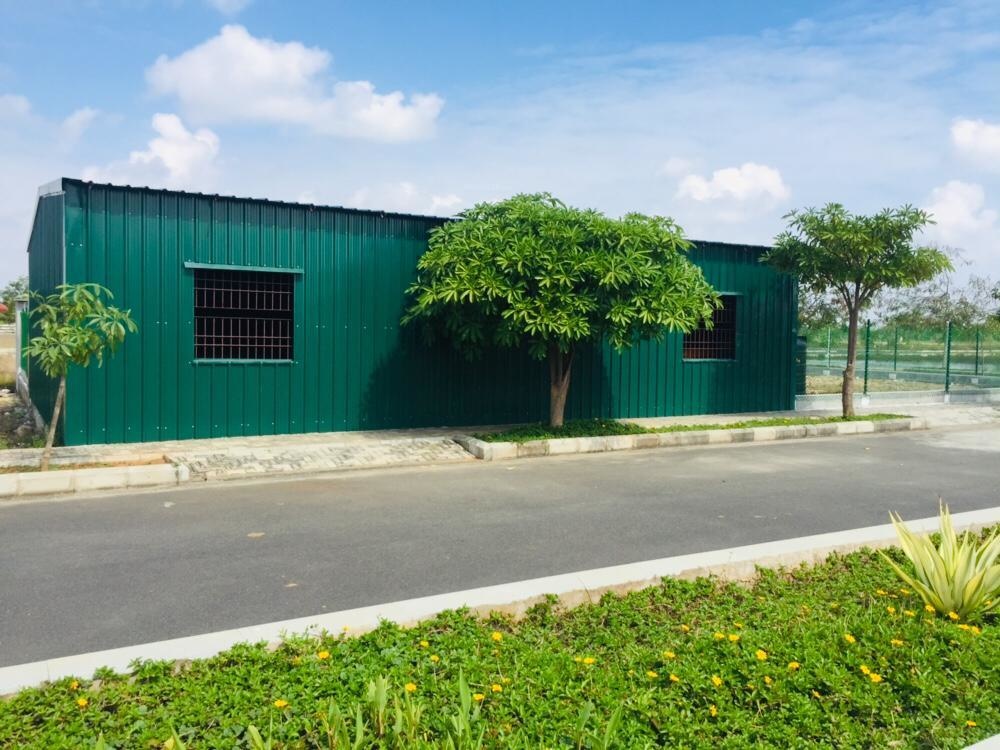 Images for mainOther