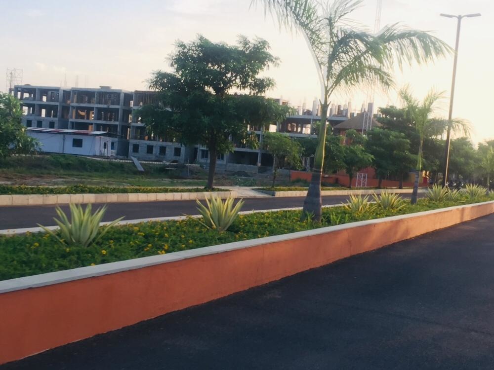 Images for mainOther