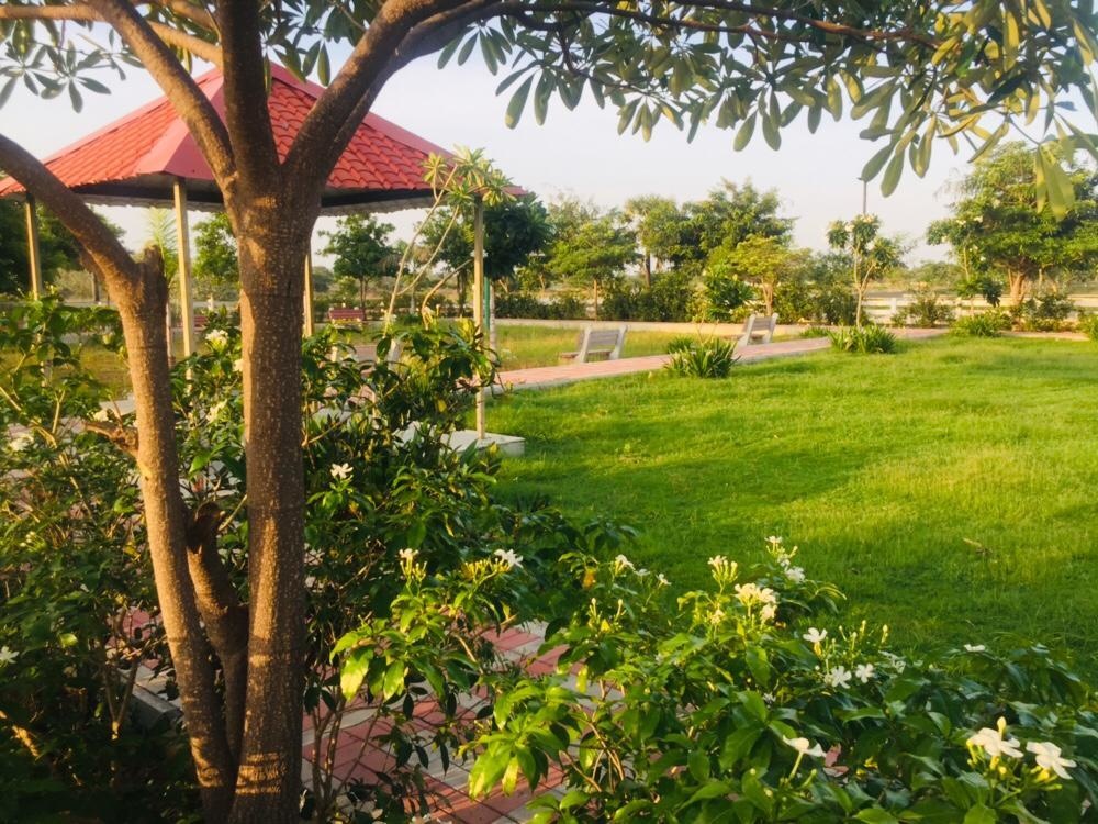 Images for mainOther