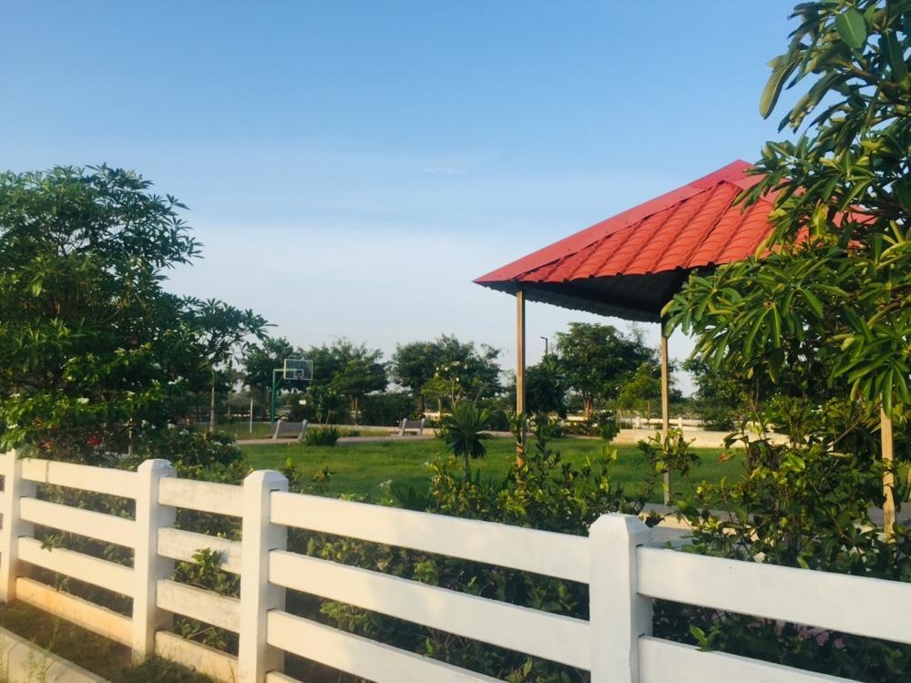 Images for mainOther