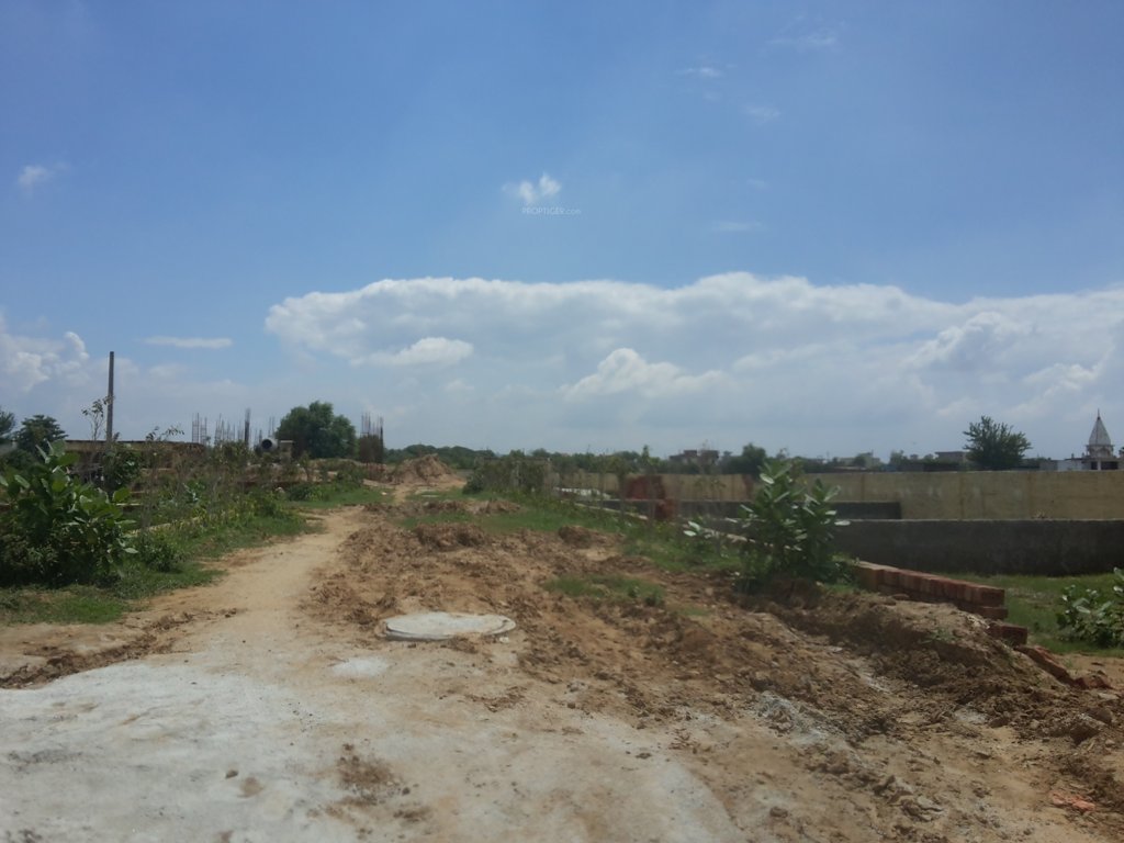 Images for mainOther