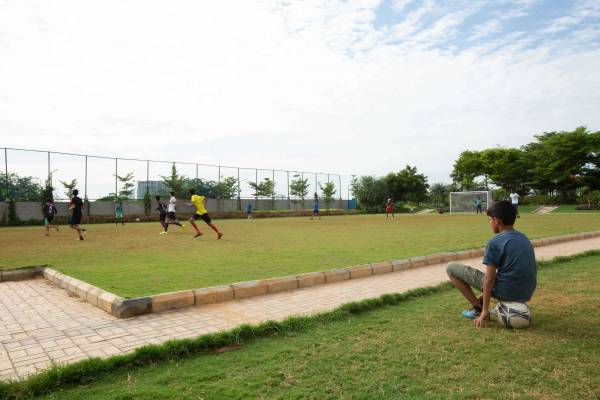  olympia-opaline Others