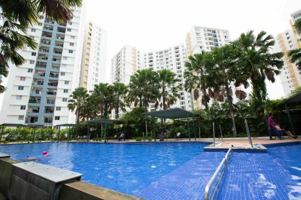  olympia-opaline Others