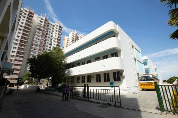  olympia-opaline Others