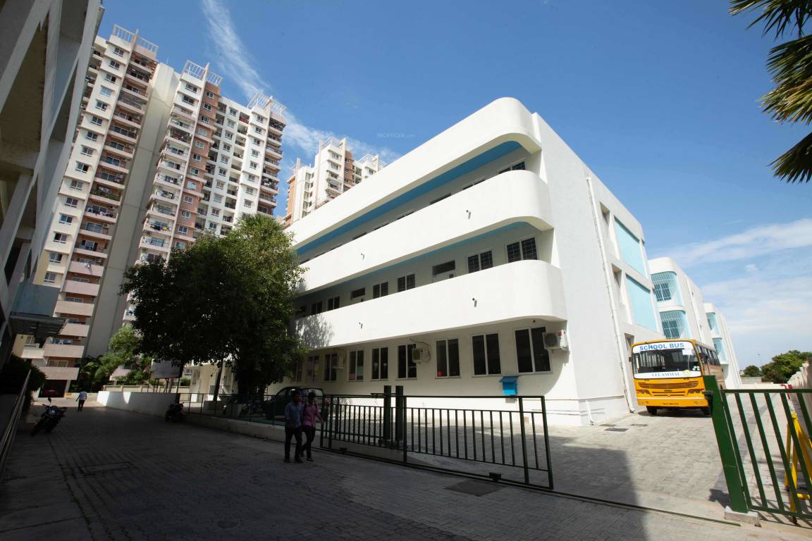  olympia opaline Others