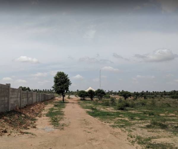  reserve-phase-1 Elevation