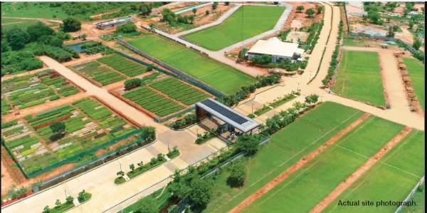  reserve-phase-1 Elevation