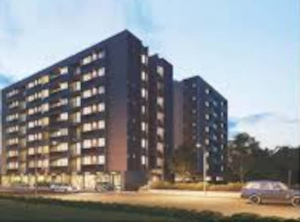  elite one 13 Elevation