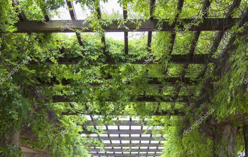 Images for Amenities of Godrej Air