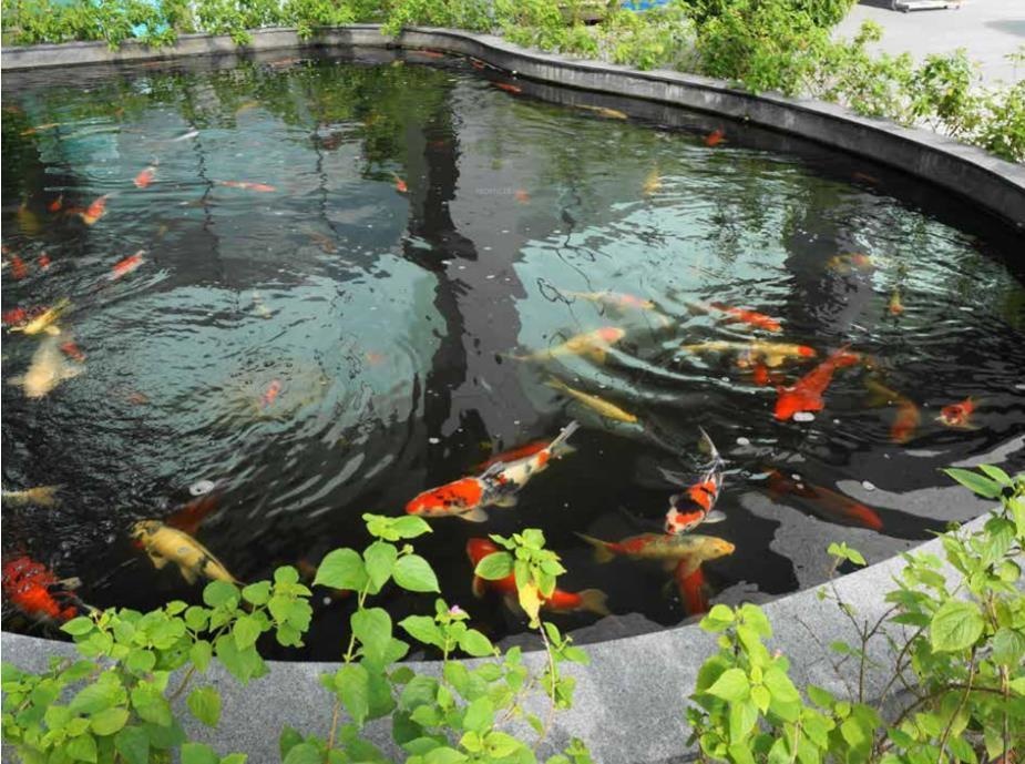 Images for Amenities of Godrej Air